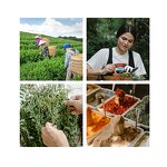 Pectinase Powder - Manufacturer - Aspergillus niger for Tannis Dissolution in Drinks