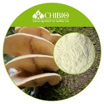 Chitosan Raw Material - Manufacturer - HALAL Water Soluble Hydrochloride Powder