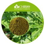Hemp Protein - Manufacturer - Organic Vegan Protein for Supplement Raw Material