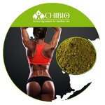 Hemp Protein Powder - Manufacturer - Pure Dietary Fiber for Energy & Muscle Building