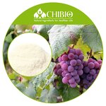 Chitosan Powder - Manufacturer - Non-allergen Food Grade Yeast for Wine Making