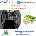 Pea Protein Isolate - Factory - 80% Pure Organic Bulk for Muscle Gain Raw Material