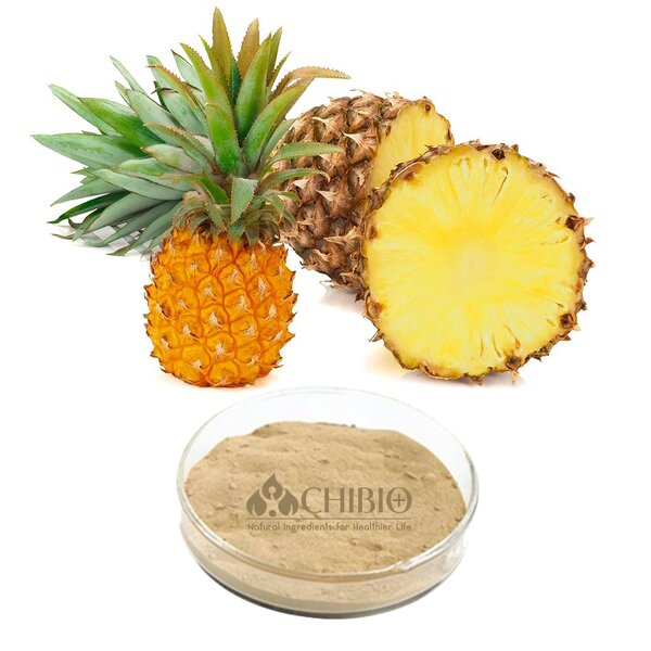 Bromelain Enzyme Powder - Manufacturer - Non-GMO 100% Natural for Meat Tenderizer