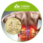 Pea Protein Peptides - Manufacturer - Food Grade 85% Milky White for Vegetarian Supplement