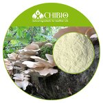 Mushroom Chitosan Powder - Manufacturer - Kosher Ingredients Raw Material Supplier