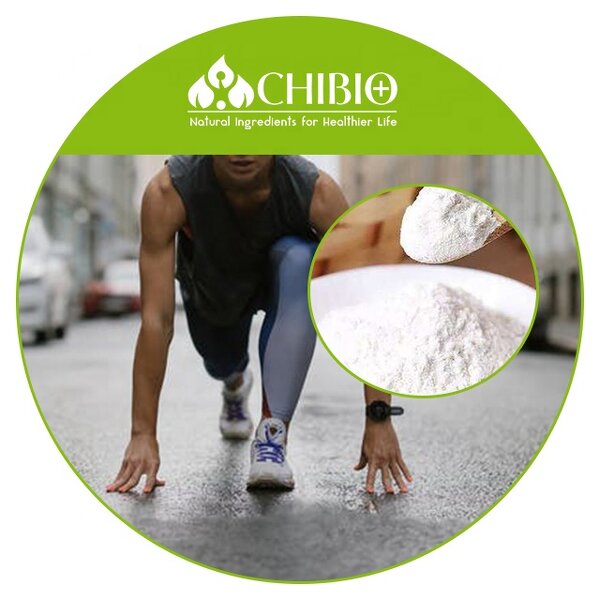 L-Arginine Powder - Manufacturer - ISO Certified for Sport Drink Muscle Building