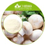 Mushroom Chitosan Powder - Manufacturer - Acid Soluble for Food Supplement Applications