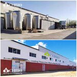 Carboxymethyl Chitosan - Manufacturer - ISO Certified Water Soluble Hemostatic Agent