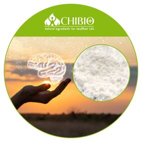 Alpha-GPC Powder - Manufacturer - for Body Health Staying in Shape Bulk Supply