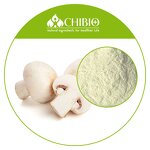 Mushroom Chitosan Powder - Manufacturer - Kosher Ingredients Raw Material Supplier