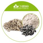 Sunflower Seed Protein - Manufacturer - Organic Low Fat Protein Fusion Powder