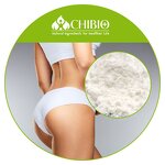 Alpha-GPC Powder - Manufacturer - for Body Health Staying in Shape Bulk Supply