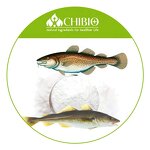 Fish Collagen Peptides - Manufacturer - Tilapia Fish Skin Marine Hydrolyzed Collagen