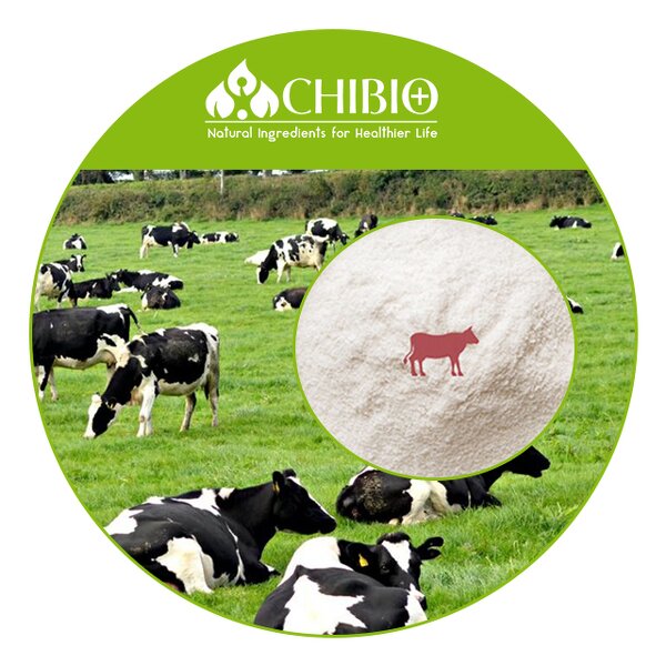 Beef Collagen Peptides - Manufacturer - 100% Grass Fed Hydrolyzed Protein Powder