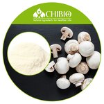 Mushroom Chitosan Powder - Manufacturer - Acid Soluble for Food Supplement Applications