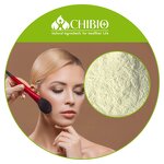 Green Tea Extract Powder - Manufacturer - 100% Vegetal Origin for Cosmetics Making