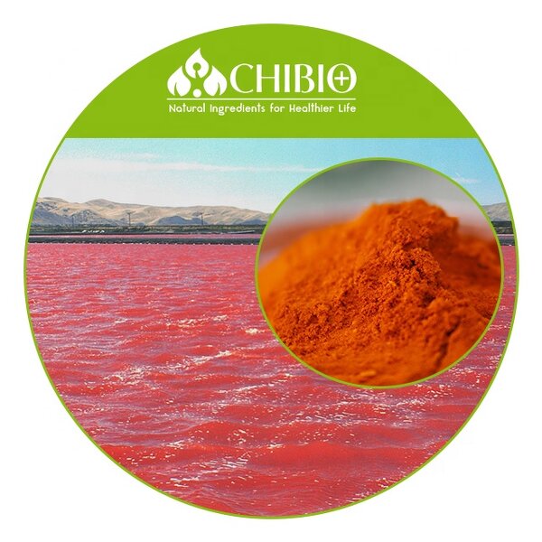 Dunaliella Salina Extract - Factory - 30% Beta Carotene Powder Oil for Food
