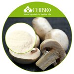 Mushroom Chitosan Powder - Manufacturer - Acid Soluble for Food Supplement Applications