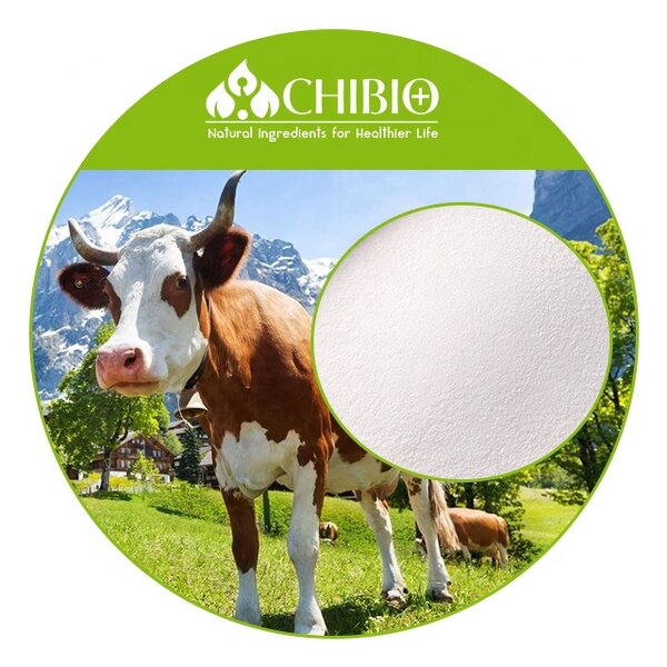 Bovine Collagen Powder - Manufacturer - Kosher Hydrolyzed for Joint & Muscle Care