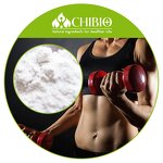 MSM Powder - Manufacturer - 98.0%-102.0% Methylsulfonylmethane Muscle Protection