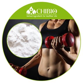 MSM Powder - Manufacturer - 98.0%-102.0% Methylsulfonylmethane Muscle Protection