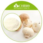 Chitosan Hydrochloride - Manufacturer - Water Soluble Mushroom Plant Based Powder