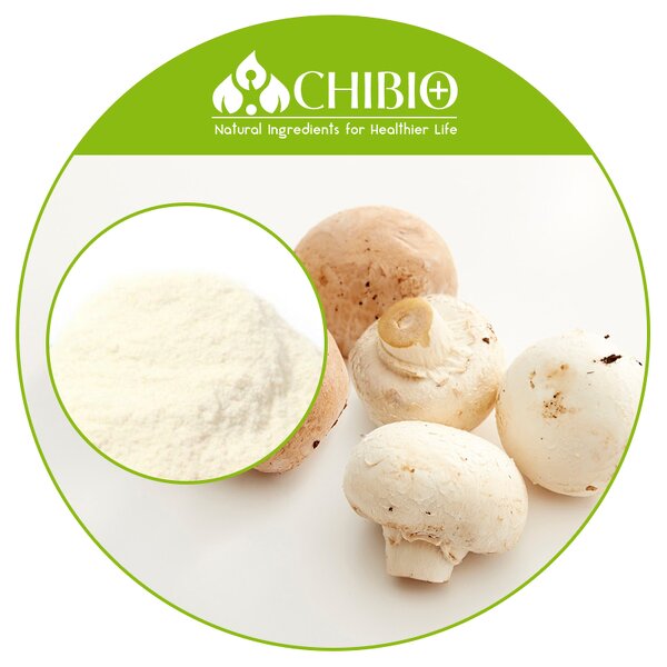 Chitosan Hydrochloride - Manufacturer - Water Soluble Mushroom Plant Based Powder