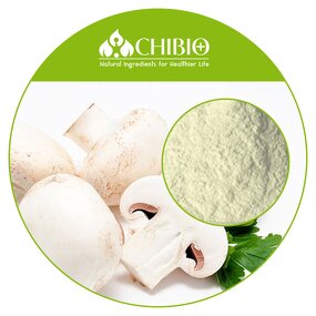 Mushroom Chitosan - Manufacturer - Natural Food Grade Chitin Chitosan Bulk Sale