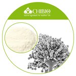 Chitosan Hydrochloride - Manufacturer - Fungal Water Soluble for Face Treatment Skincare