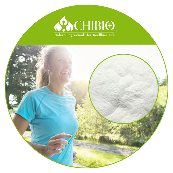 Chondroitin Sulfate - Manufacturer - Bulk Price Powder for Exercise Recovery