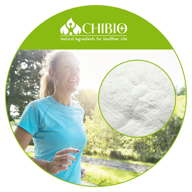 Chondroitin Sulfate - Manufacturer - Bulk Price Powder for Exercise Recovery