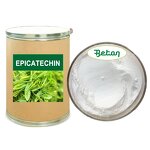 Green Tea Extract Powder - Manufacturer - 98% Natural 45%-95% Epicatechin Bulk Powder