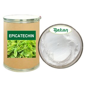Green Tea Extract Powder - Manufacturer - 98% Natural 45%-95% Epicatechin Bulk Powder