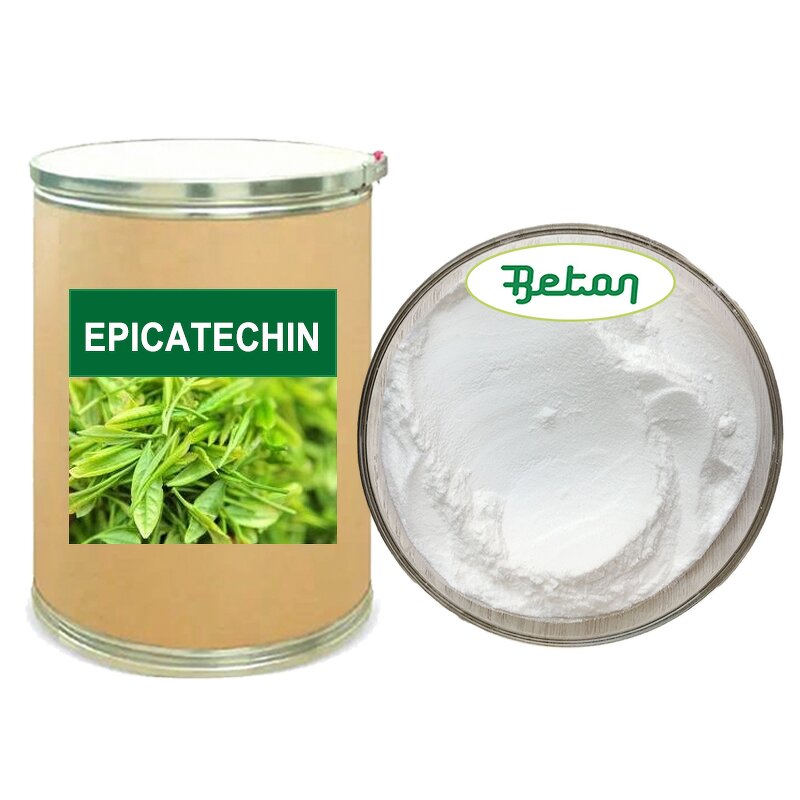 Green Tea Extract Powder - Manufacturer - 98% Natural 45%-95% Epicatechin Bulk Powder