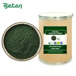 Spirulina Extract Powder - Manufacturer - Organic Halal Kosher Food Grade Pure Green Powder