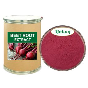 Beetroot Powder - Manufacturer - Freeze Dried Organic Fermented Soluble Beet Root Juice Powder