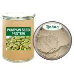 Pumpkin Seed Protein Powder - Manufacturer - 60% Organic High Quality Bulk Price Powder