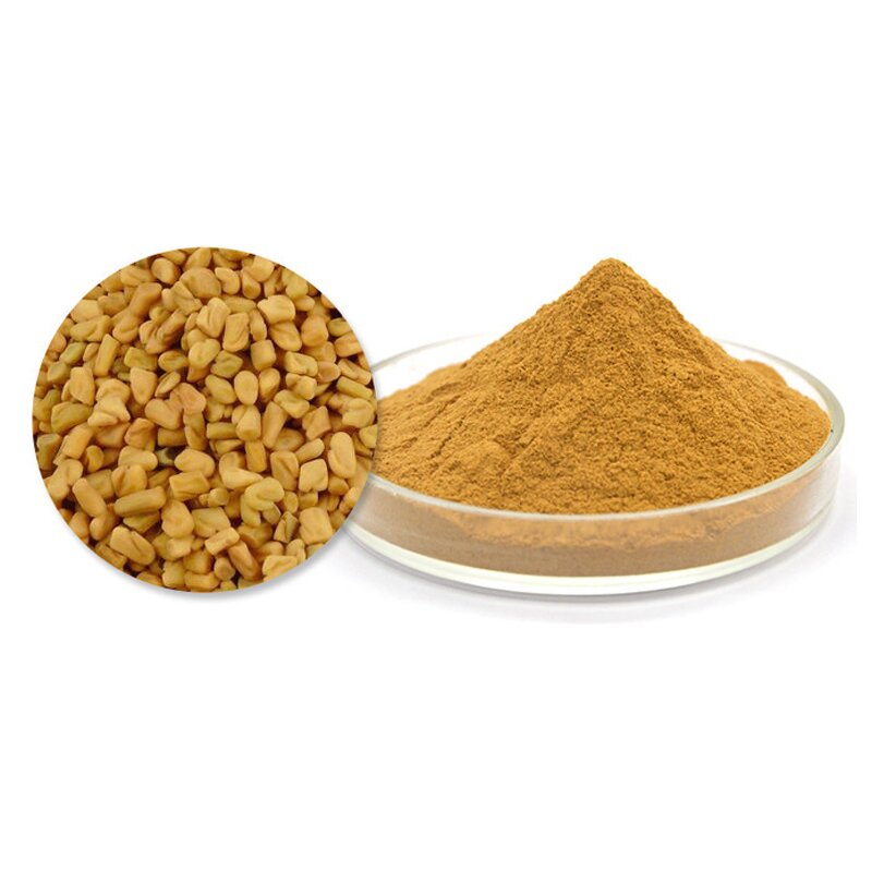 Fenugreek Extract Manufacturer - 10:1 Seed Herbal Powder