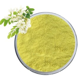 Quercetin Powder Manufacturer - 95% Sophora Japonica Extract