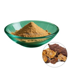 Cynomorium Powder Manufacturer - 10:1 Herb Extract for Men