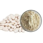 White Kidney Bean Extract Manufacturer - 2% Phaseolin Powder