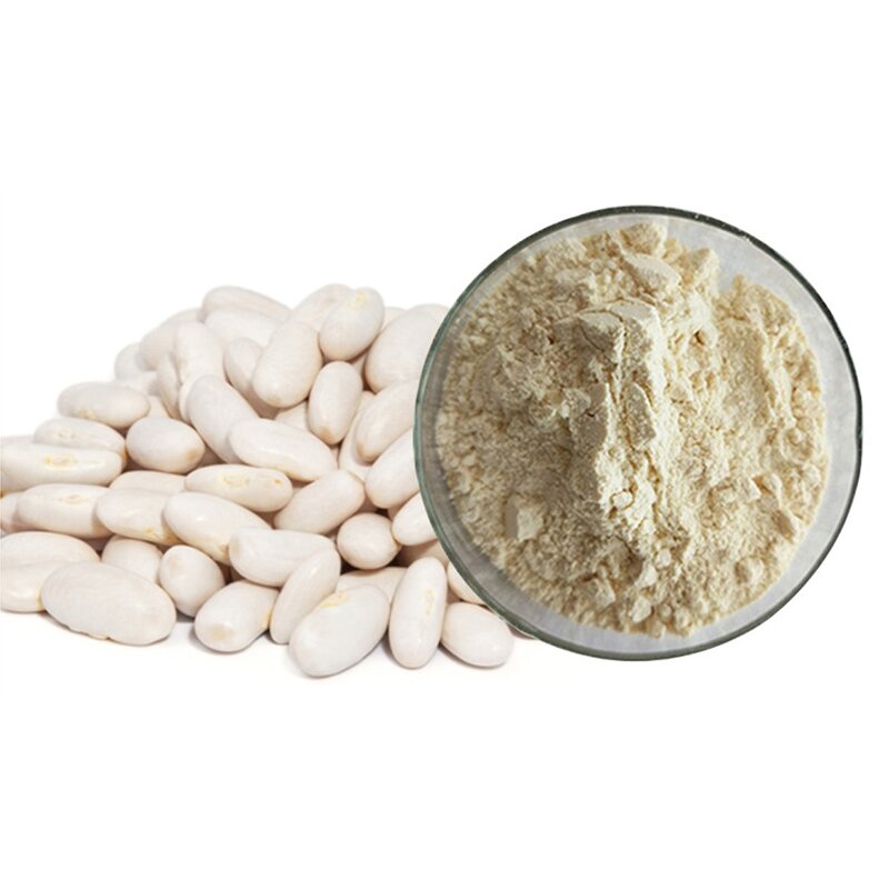 White Kidney Bean Extract Manufacturer - 2% Phaseolin Powder