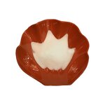 Chitosan Powder Manufacturer - 98% CAS 9012-76-4