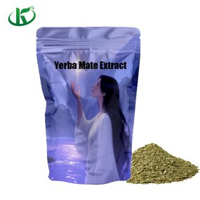 Yerba Mate Extract Powder Manufacturer - Instant Tea