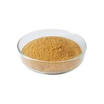 Cynomorium Powder Manufacturer - 10:1 Herb Extract for Men