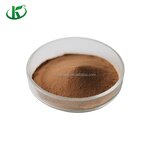 Black Tea Powder Manufacturer - 100% Pure Plant Extract Water Soluble