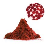 Astaxanthin Powder Manufacturer - 10% Haematococcus Pluvialis