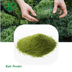 Kale Powder Manufacturer - Organic Freeze-Dried Extract