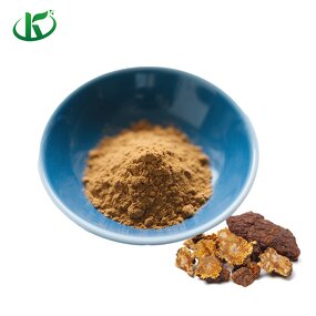 Cynomorium Extract Powder Manufacturer - Songaria for Men's Health
