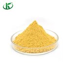 Pumpkin Powder Manufacturer - 100% Pure Organic Vegetable